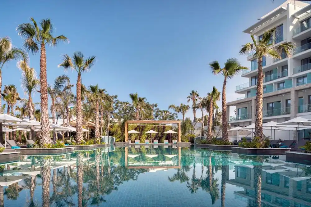 AMAVI HOTEL