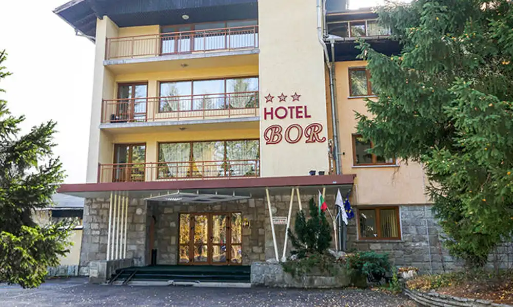 Hotel Bor